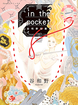 in the pocket海报