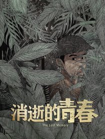 消逝的青春电影海报